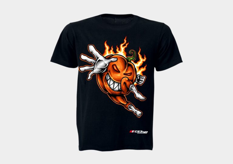 Pumpkin Hero - Image 2