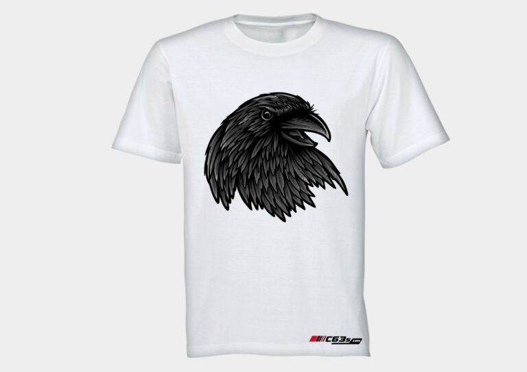 Rise Of The Raven - Image 4