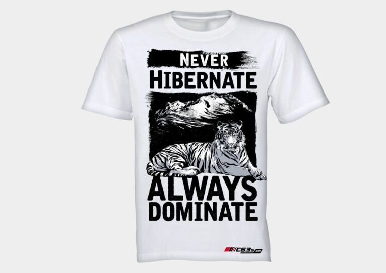 Never Hibernate - Image 2