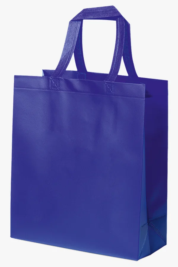 C63s Fimel Bag — Blue