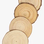C63s Yantic Coaster Set — Natural
