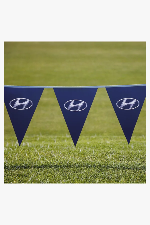 C63s Pennants PVC Digital Single Sided Triangle — Standard