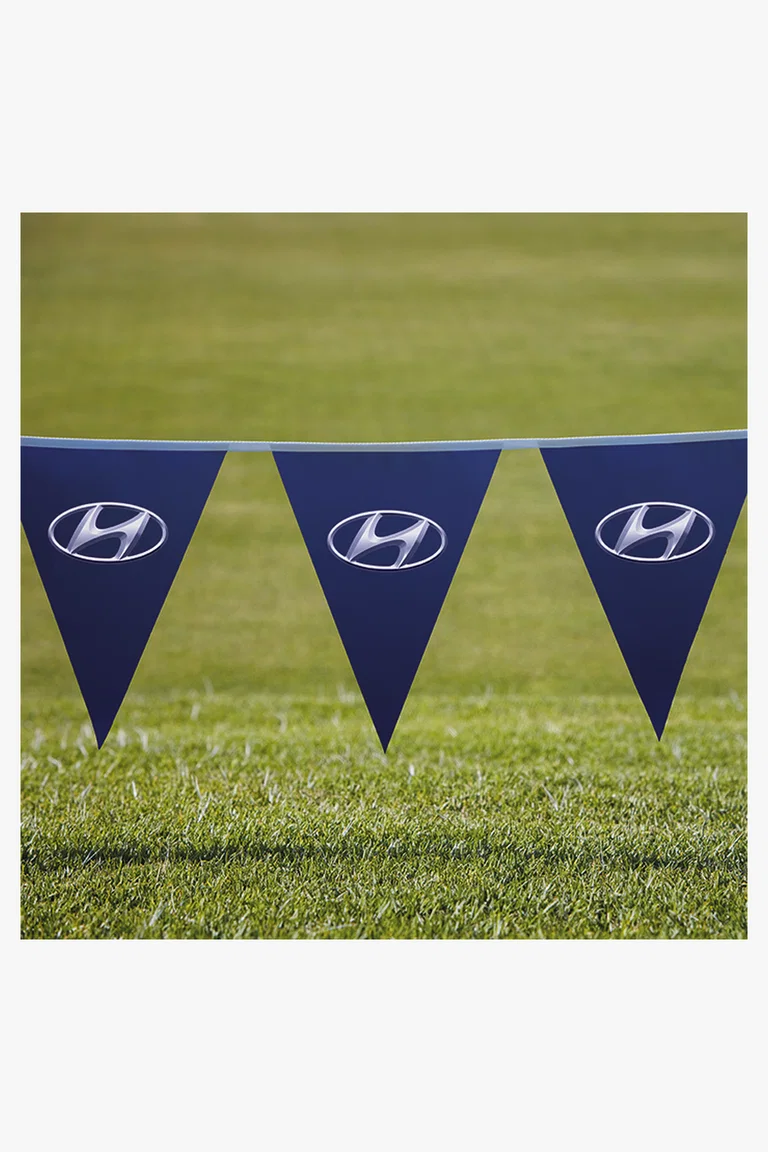 C63s Pennants PVC Digital Single Sided Triangle — Standard