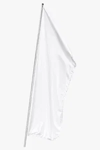C63s Single Cluster Flag Single Sided Digital — Standard